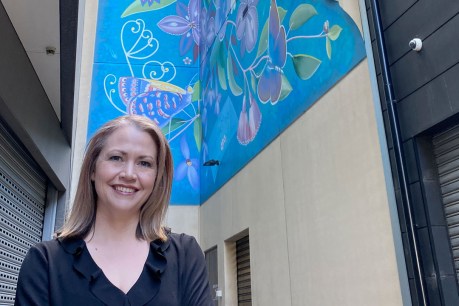 Artist reaches new heights with Her Majesty’s Theatre mural