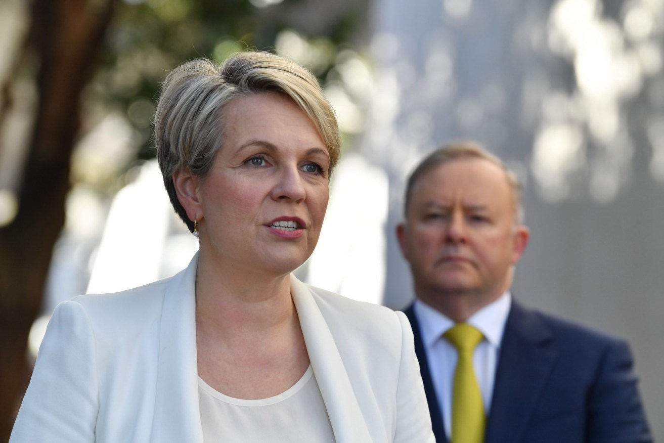 Shadow Minister for Education Tanya Plibersek had a fiery encounter with controversial Liberal MP Craig Kelly in the halls of Parliament today (Photo: Dean Lewins/AAP)
