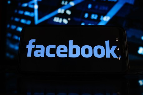 ‘Disgraceful, bully-boy’: Facebook news ban hits SA Health, essential services