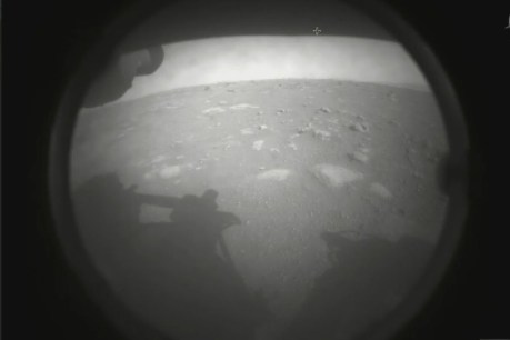 NASA rover lands on Mars