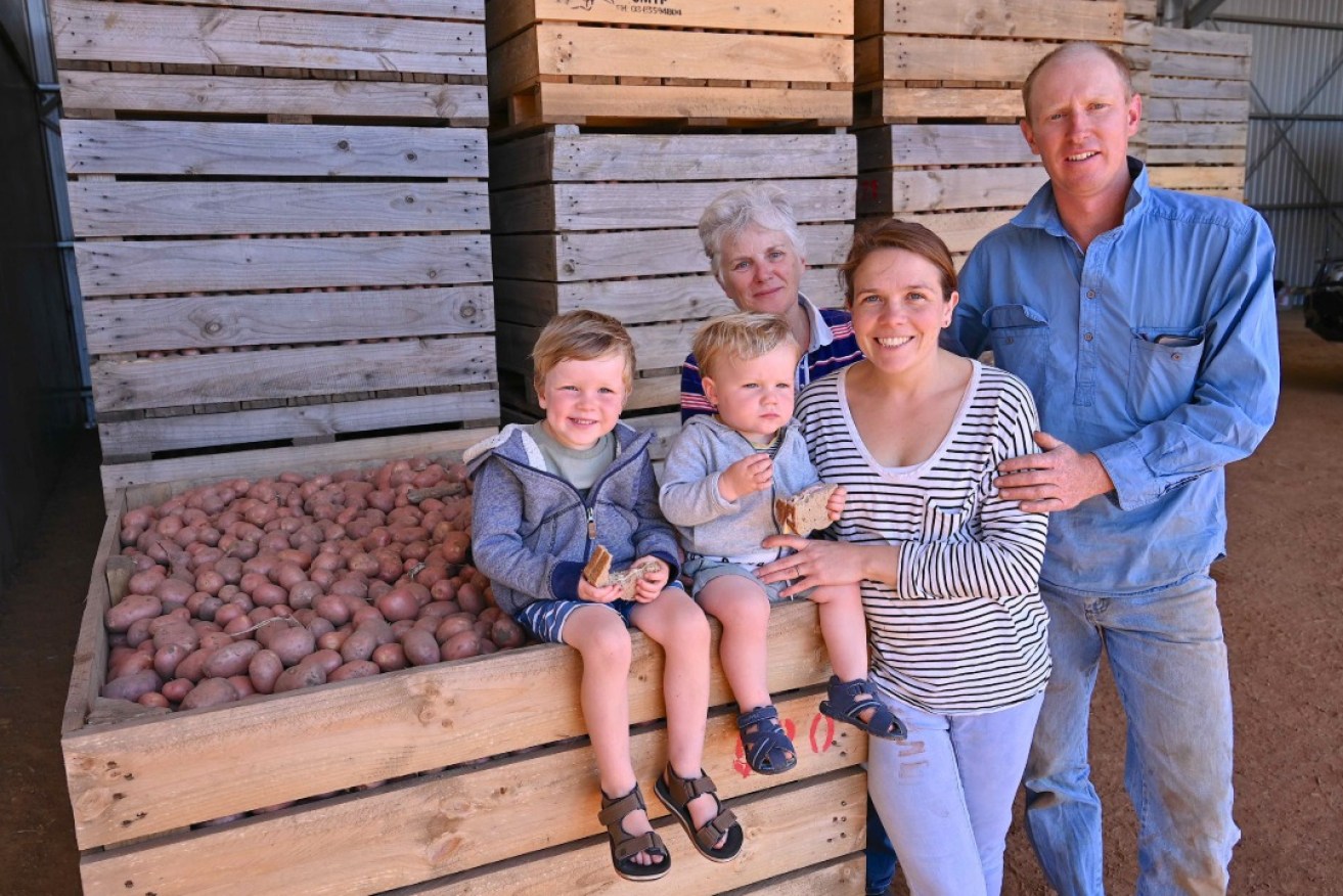 Diversifying into potatoes. Third generation Parndana farmers Peter and Meghan Cooper along with their sons Harry (left) and Zac. Peter’s mother, Barbara, pictured back left, spent many years teaching the agriculture science program at the local area school. Photo: Belinda Willis