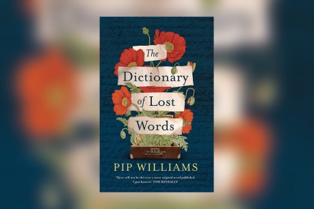 Bestseller The Dictionary of Lost Words set to become a television series