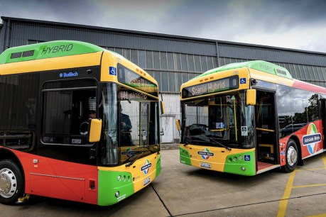 Electric bus company gears up for zero-emission growth