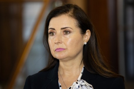 Minister under more pressure over child protection pregnancies