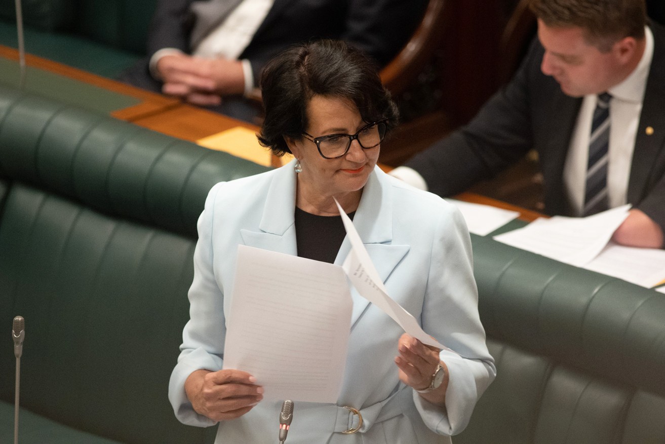 Attorney-General Vickie Chapman. Photo: Tony Lewis/InDaily 