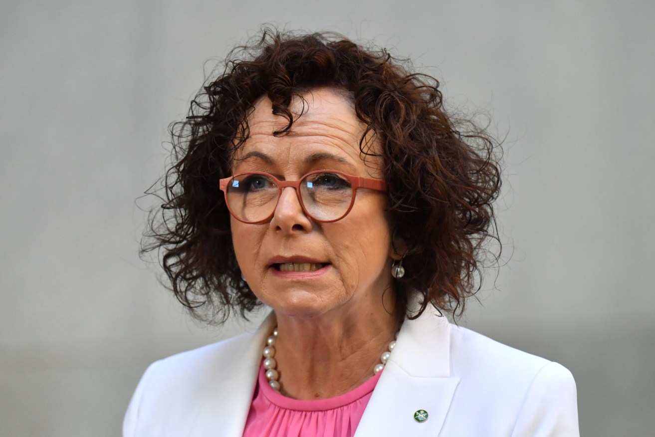 Nationals MP Anne Webster says she was harassed inside Parliament House last week. Photo: AAP/Mick Tsikas