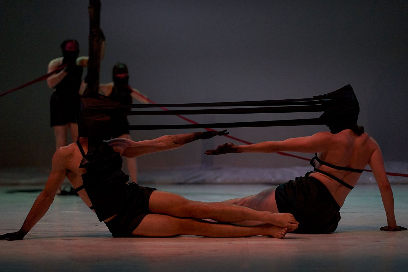 Garry Stewart's strong aesthetic is apparent in Australian Dance Theatre's Supernature. Photo: Sam Roberts