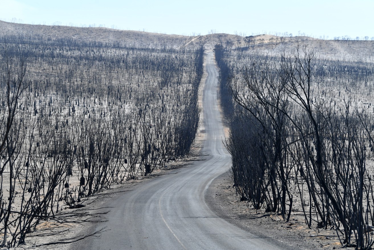 A general view of the damage done to the Flinders Chase National Park after bushfires swept through on Kangaroo Island in the summer of 2019-20, southwest of Adelaide, Tuesday, January 7, 2020 (AAP Image/David Mariuz) 