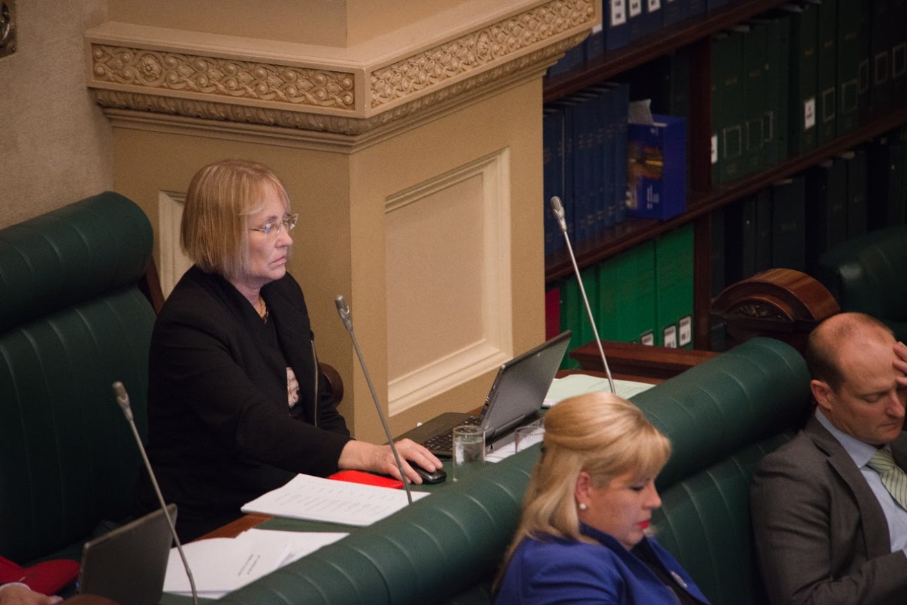 Annabel Digance in state parliament. Photo: Tony Lewis / InDaily