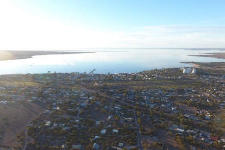 Streaky Bay Council opposes oyster lease, pans Govt consultation