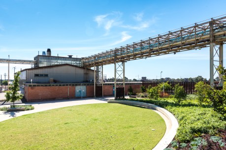 Second round for Tonsley microbrewery as Boiler House again up for grabs