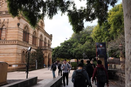 Adelaide Uni shuts down for week after pandemic hits bottom line
