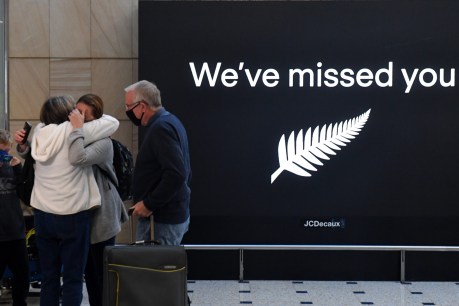 Trans-Tasman bubble yet to pop after NZ airport case