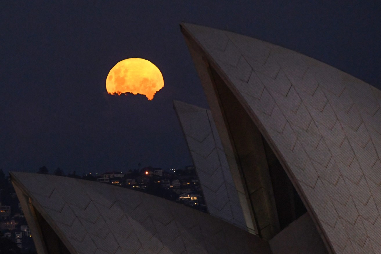 The pink moon rises behind the Sydney Opera House last night. Photo: AAP Image/Mick Tsikas