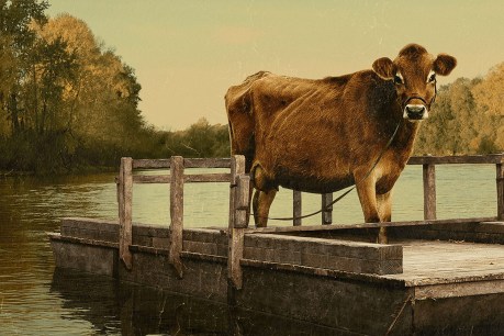 Film review: First Cow