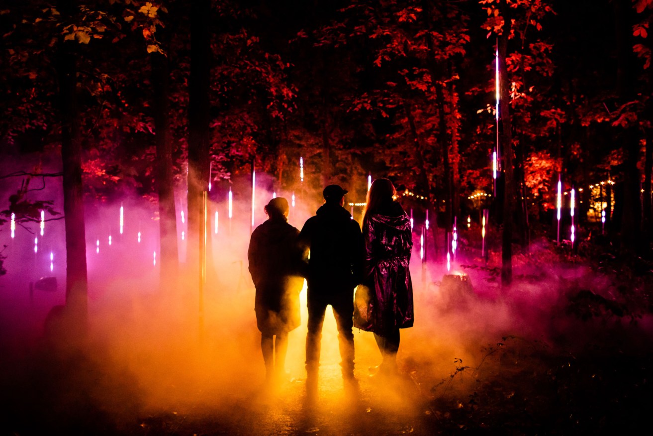 Canada's Moment Factory, which created this forest light experience for the Crystal Bridges Museum of American Art, is bringing a site-specific show to the Adelaide Botanic Garden for Illuminate Adelaide.