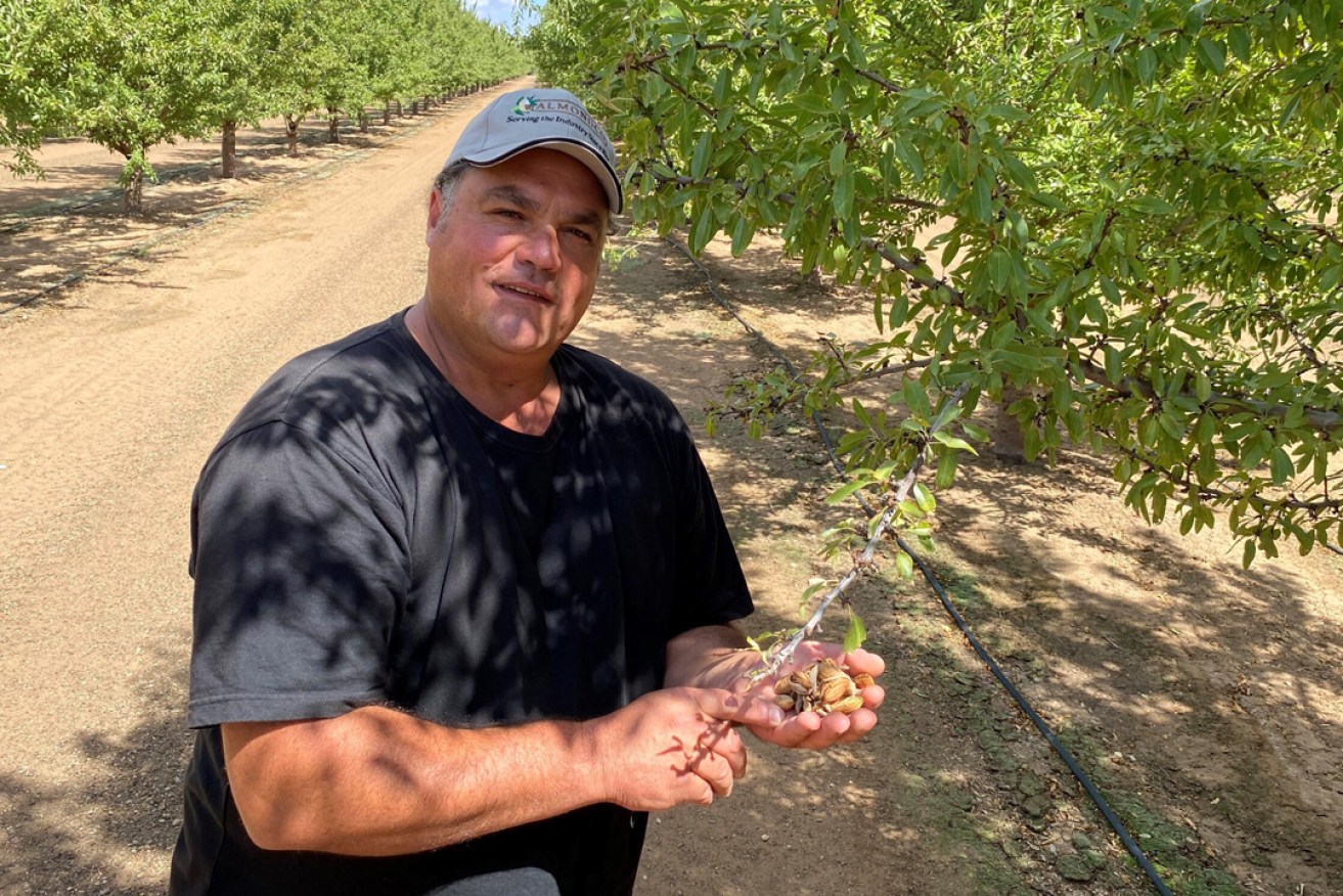 Renmark grower Jim Sourtzis is in his fourth season as an almond producer after making the switch from stone fruit.