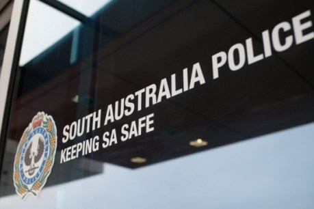 Two Adelaide men arrested after raids allegedly find explosive, extremist material