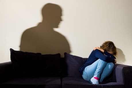 Paid leave plan for victims of domestic violence in SA
