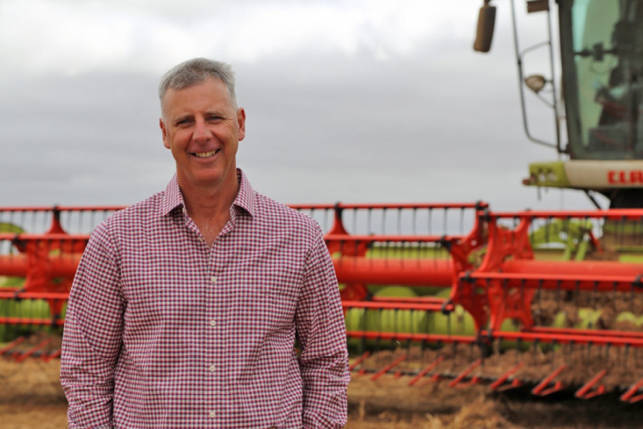 Grain Producers SA chair Adrian McCabe is among a number of SA farmers planting GM canola crops for the first time this year. 