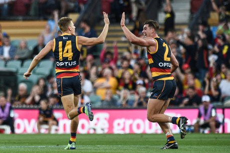AFL blows whistle on last-minute Crows handball