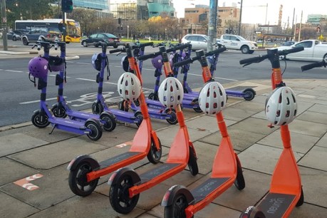 E-scooter companies riding rapid Adelaide growth