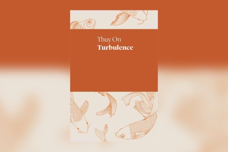Book review: Turbulence