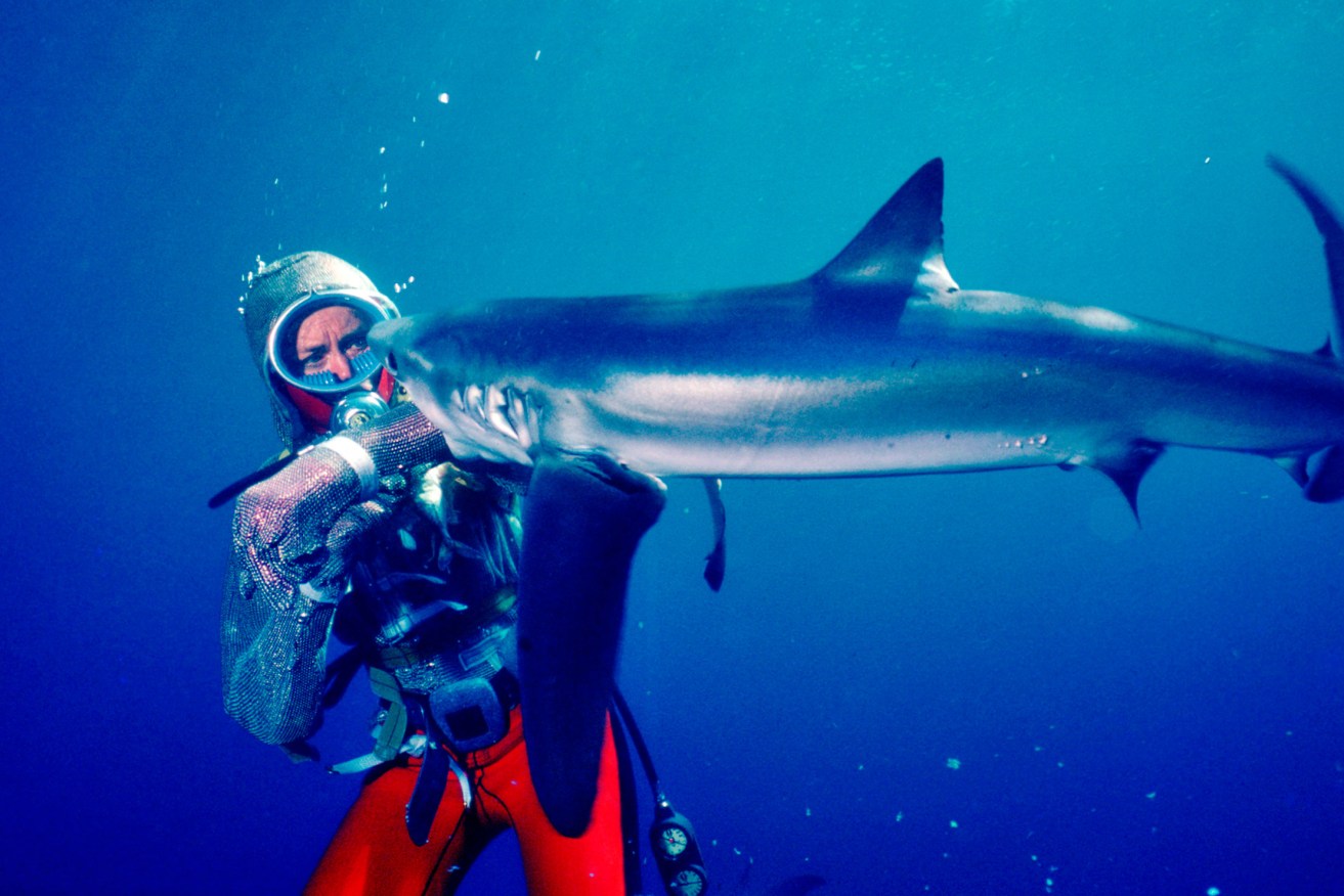 Footage in the documentary of Valerie underwater with sharks accurately shows the interactions between humans and sharks. Photo: Madman Entertainment