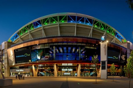 Adelaide Oval lost millions in 2021 but not as much as 2020