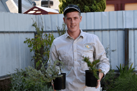 Young bloke’s zest for gardening blooms into a successful business