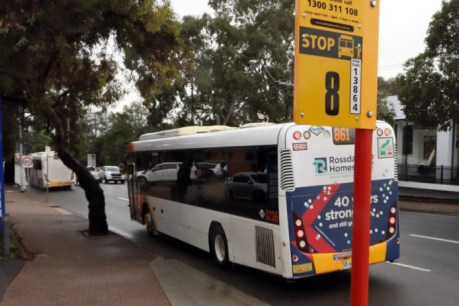 Fast timetable for QR codes on Adelaide public transport