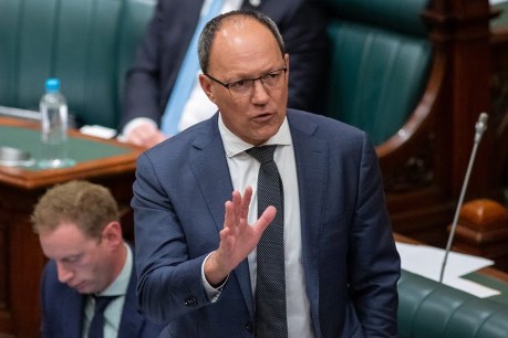 ‘C’mon, tough guy’: bullying allegations against minister spill over in Parliament