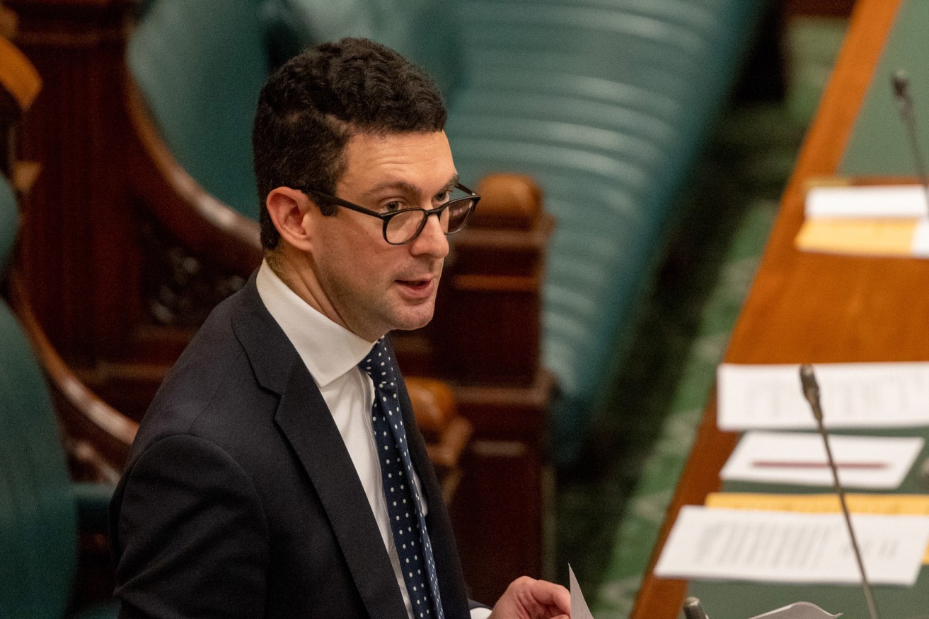 Liberal MP Dan Cregan in parliament last month. Photo: Tony Lewis / InDaily