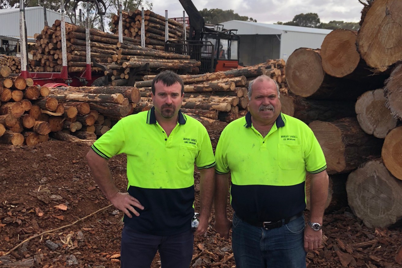 Morgan Sawmill Jamestown owners Luke (left) and Ed Morgan want to build a second mill at Dublin.