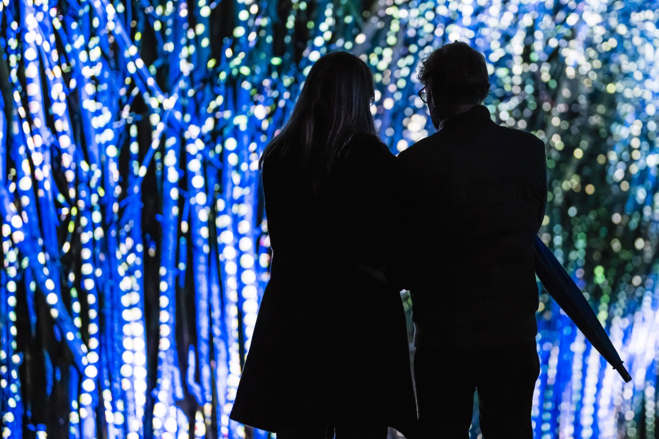 Light Cycles lights up the Adelaide Botanic Garden with video projections, light effects, lasers, smoke and soundscapes. Photo: Moment Factory 
