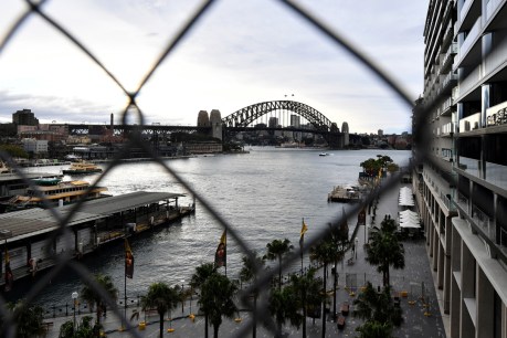 Arrests after climate protest blocks Sydney traffic