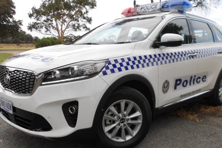Adelaide truckie dies in west coast crash