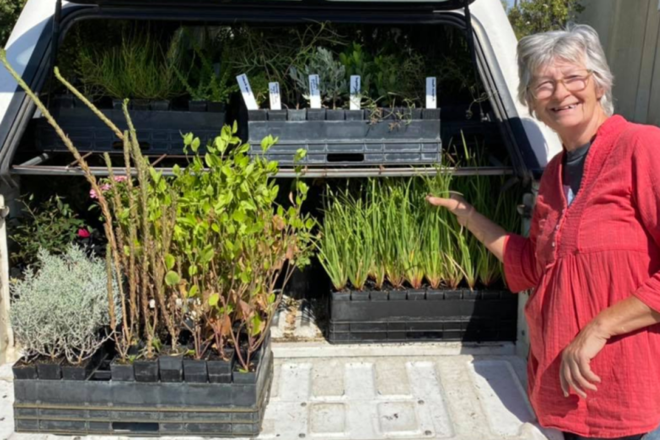 Kangaroo Island Garden Club president Anne Morrison has helped coordinate the outpouring of support to get KI gardeners back to their plots after the 2020 fires. 