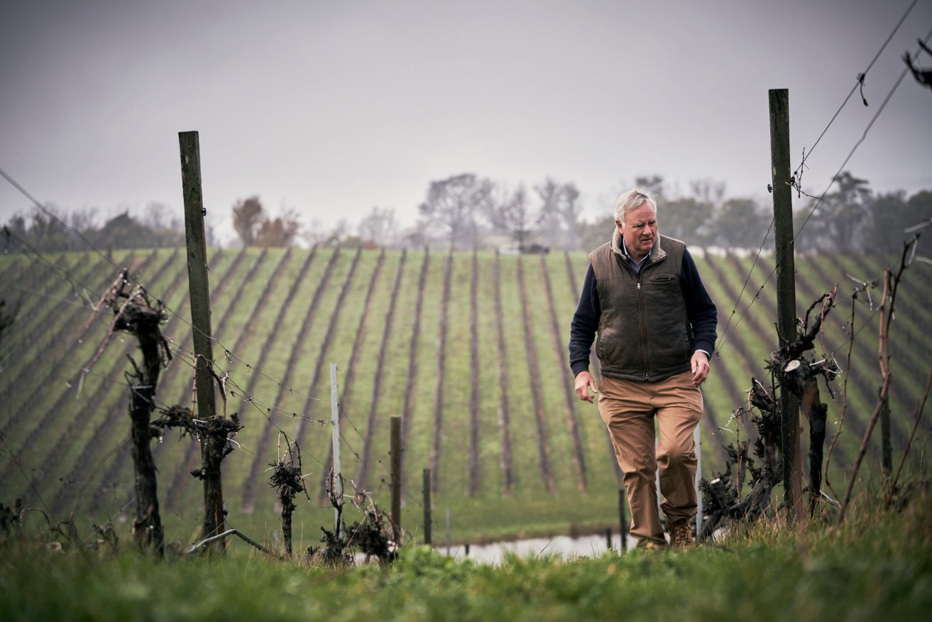 Geoff Weaver in his Lenswood vineyard. Photo: Aubrey Jonsson/InReview