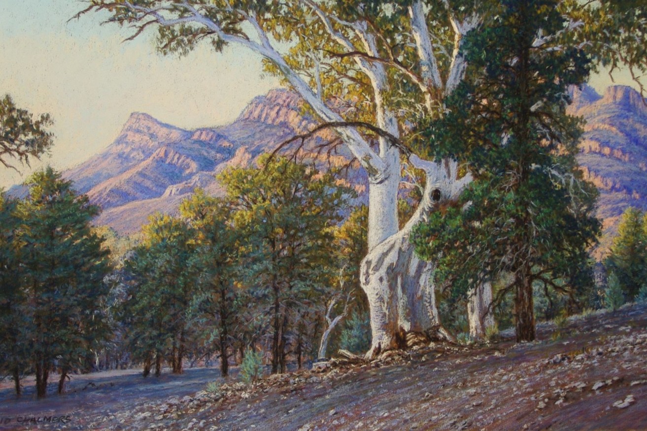 "A New Day At Wilpena" by David Chalmers.