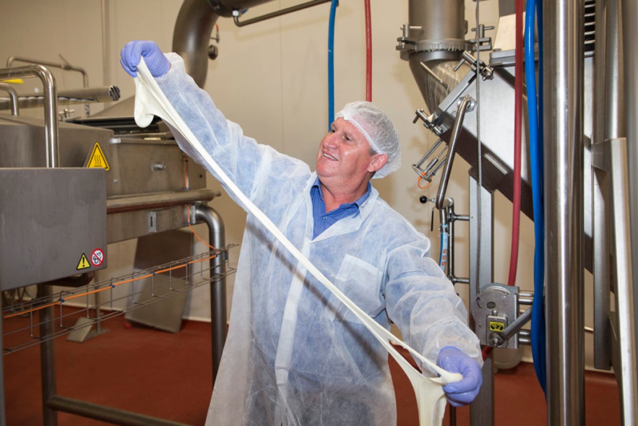 Beston Global Foods Master Cheesemaker Paul Connolly stretches  Mozzarella at Jervois.