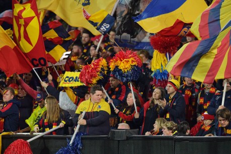Crows cleared over notorious Gold Coast camp