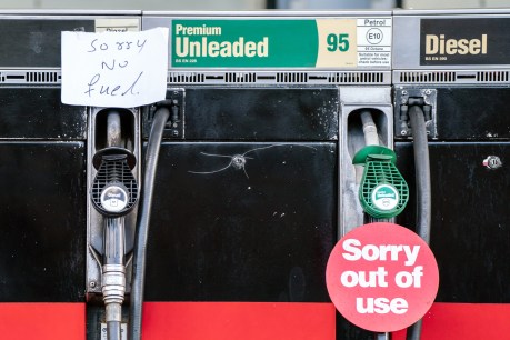 UK military on standby as petrol stations dry up