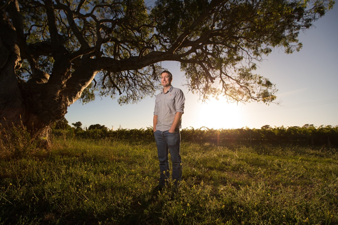 Winemaker Luke Tocaciu under a gum tree in the Coonawarra. Supplied image