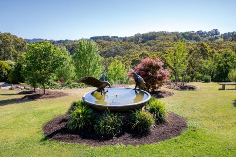 A gardener’s paradise in the Adelaide Hills