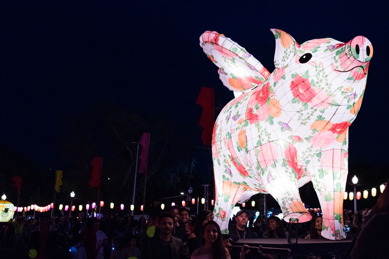 Flying pig, seen here at the 2018 Moon Lantern Parade, will return for next month's inaugural Moon Lantern Trail. Photo: Daniel Purvis