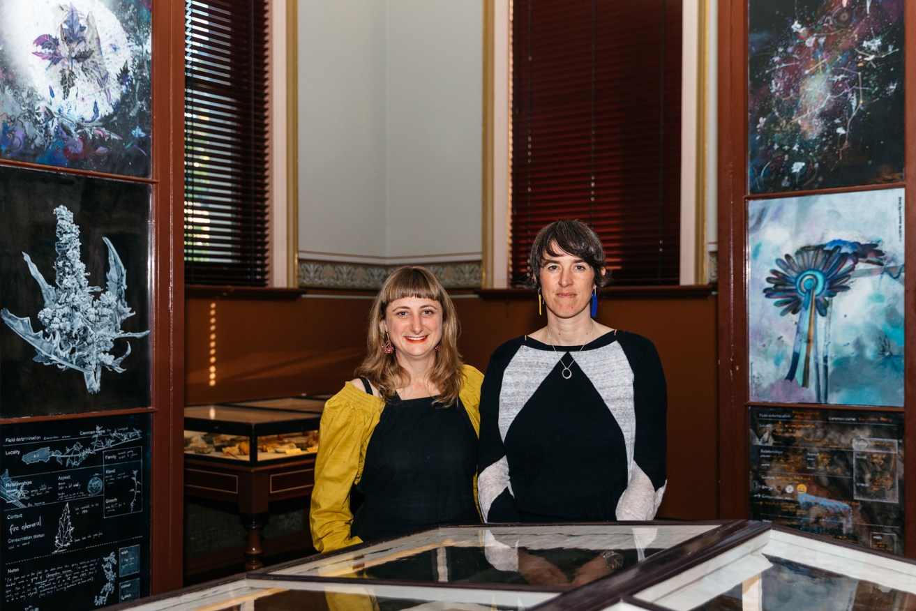 Louise Flaherty and Laura Wills with their work in the Santos Museum of Economic Botany. Photo: Sia Duff 