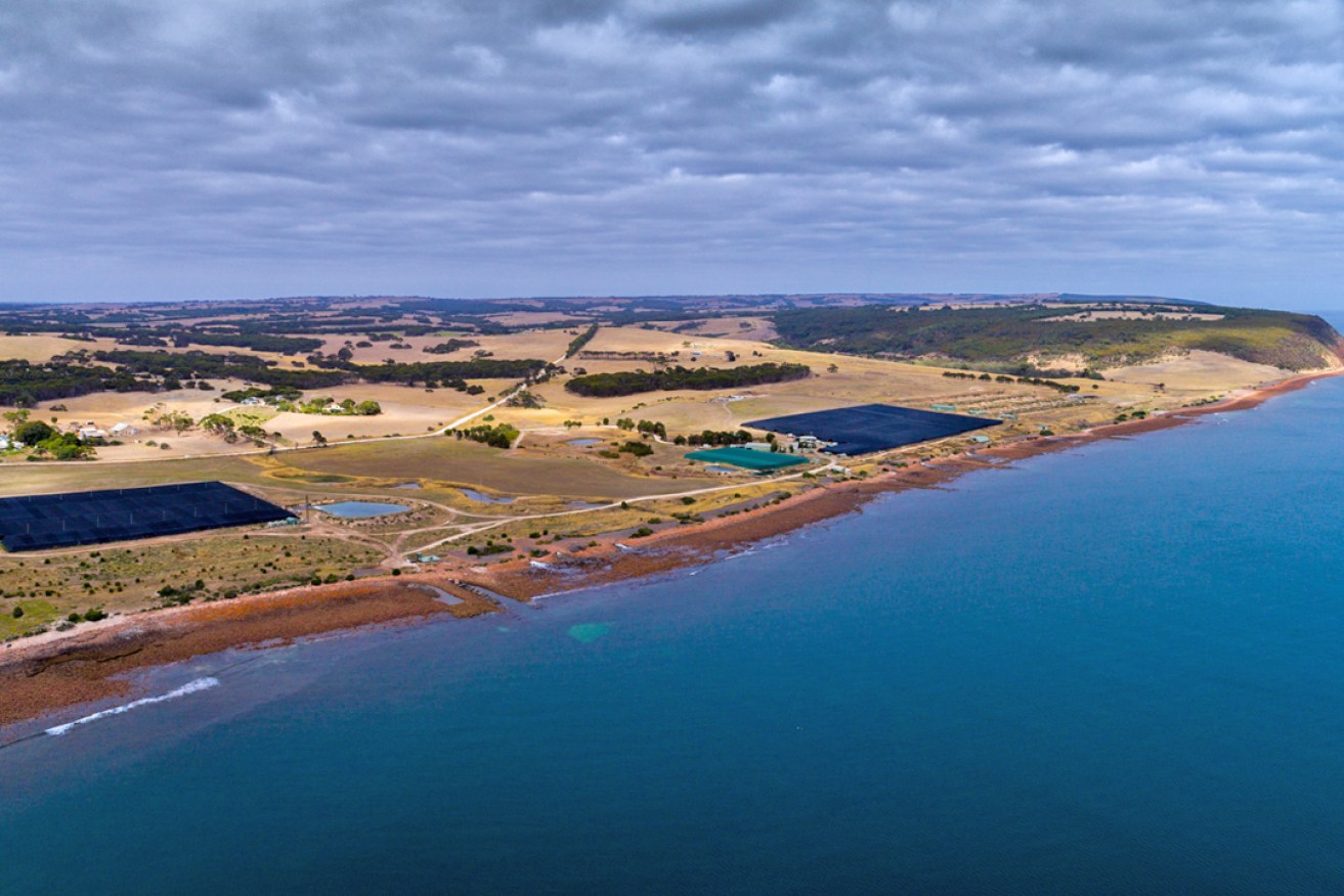 An aerial view of Yumbah Aquaculture's Smith Bay site on Kangaroo Island.