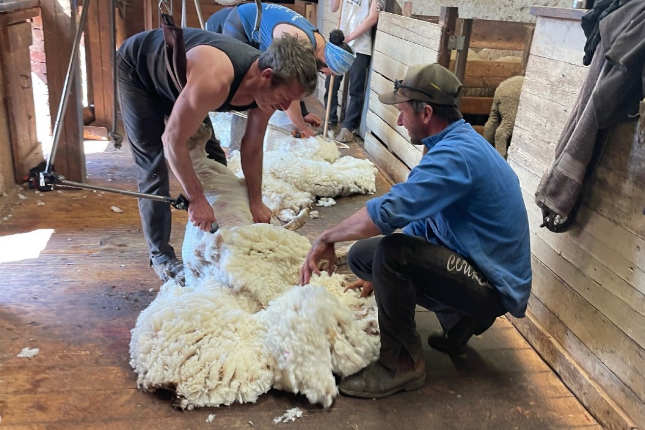 Jamestown AH&F Society president Matt Scharkie chatting to shearers during shearing time at his property this week. 