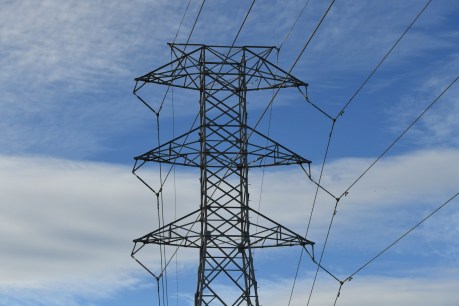 Warning over foreign sale of SA Power Networks